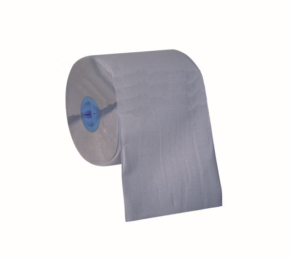 Putzrolle 2-lagig 1000 Blatt, 22 x 38cm