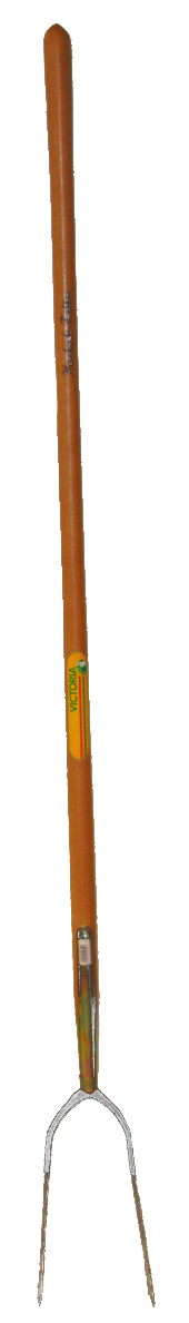 Heugabel "Victoria" 2 Zink mit Stiel