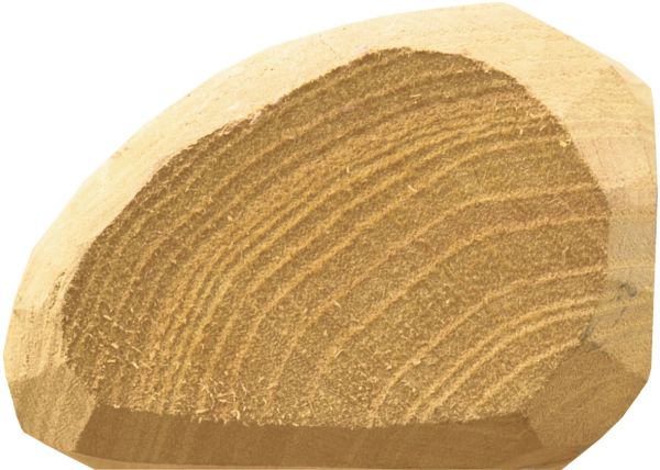 Robininen-Streckenpfahl "Natur" Ø 6-8 cm
