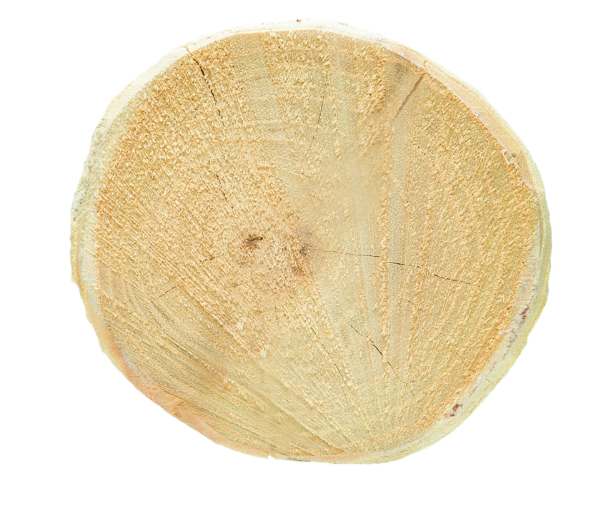 Robininen-Kurvenpfosten Ø 10-12 cm