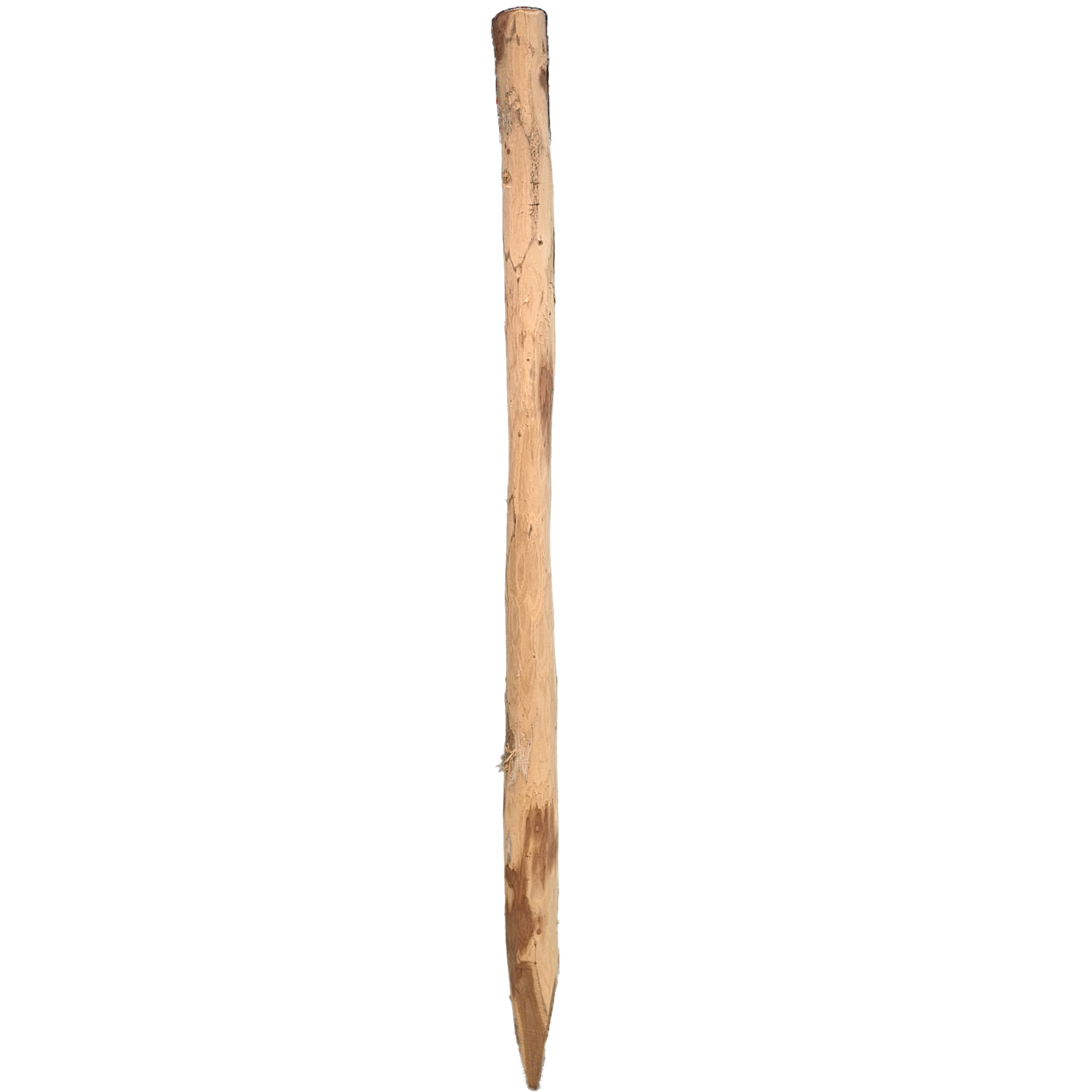 Robinienpfahl mit Spitze wie gewachsen 150cm
