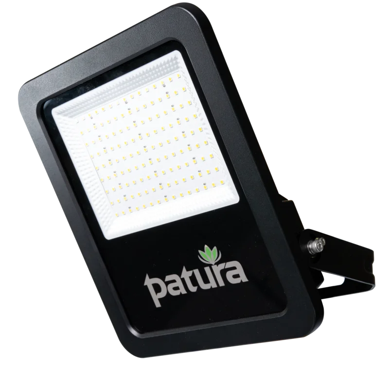 LED-Flutlicht Power-Line 50 Watt