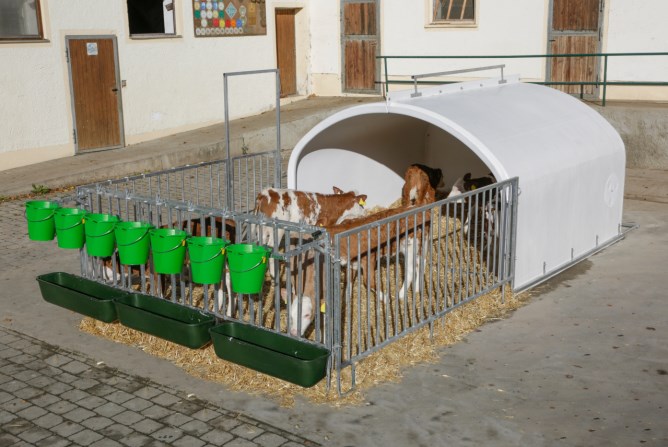 CalfHouse Premium XXL mit Umzäunung