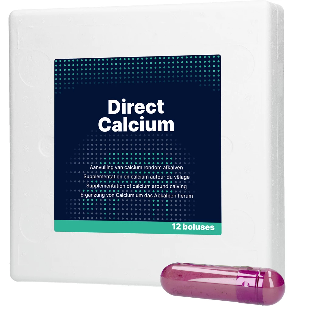 Direct Calcium, 12 Bolus