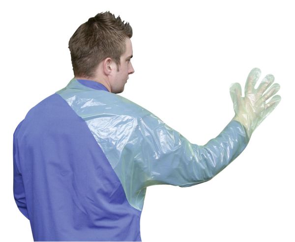 Einmalhandschuhe