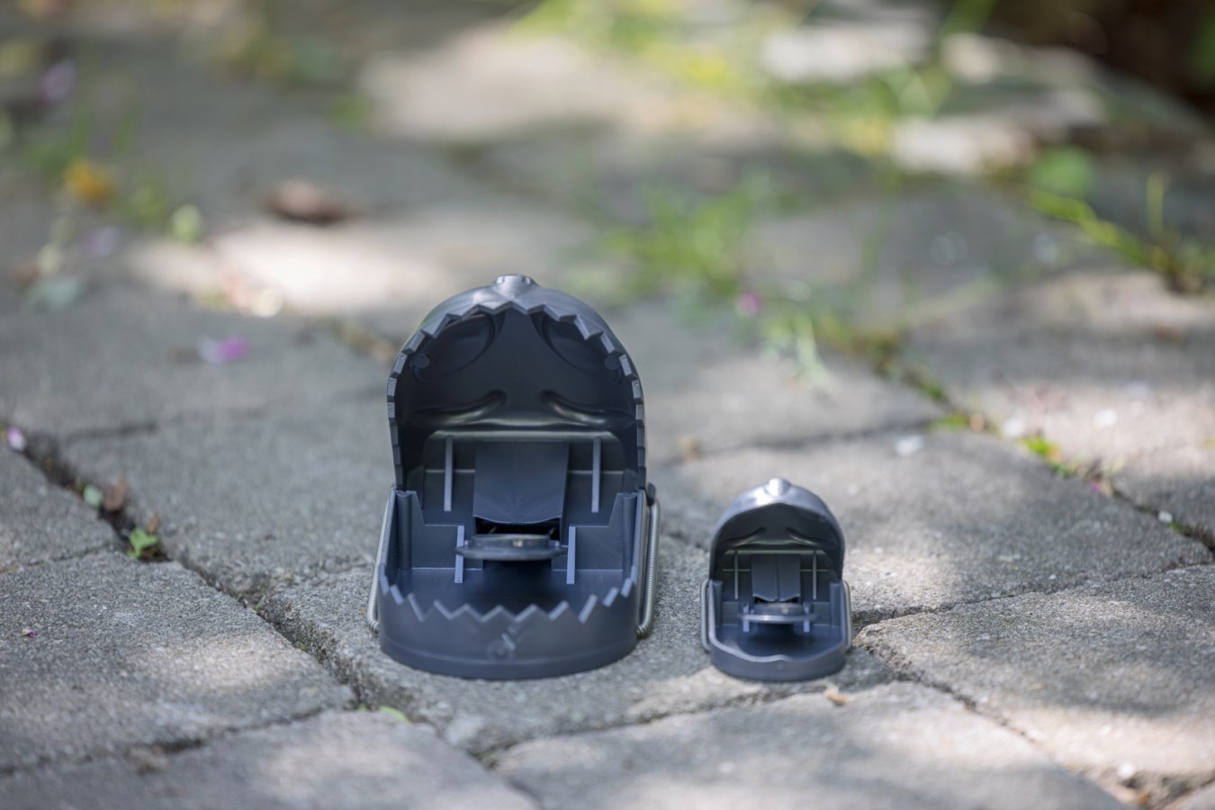 cit Schlagfalle ratStop