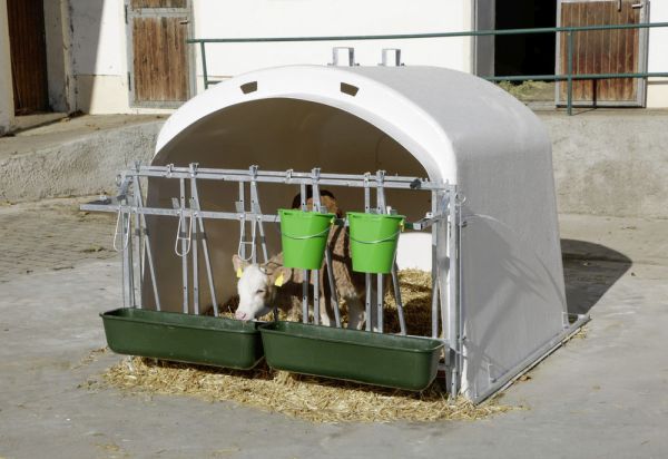 CalfHouse Premium XL