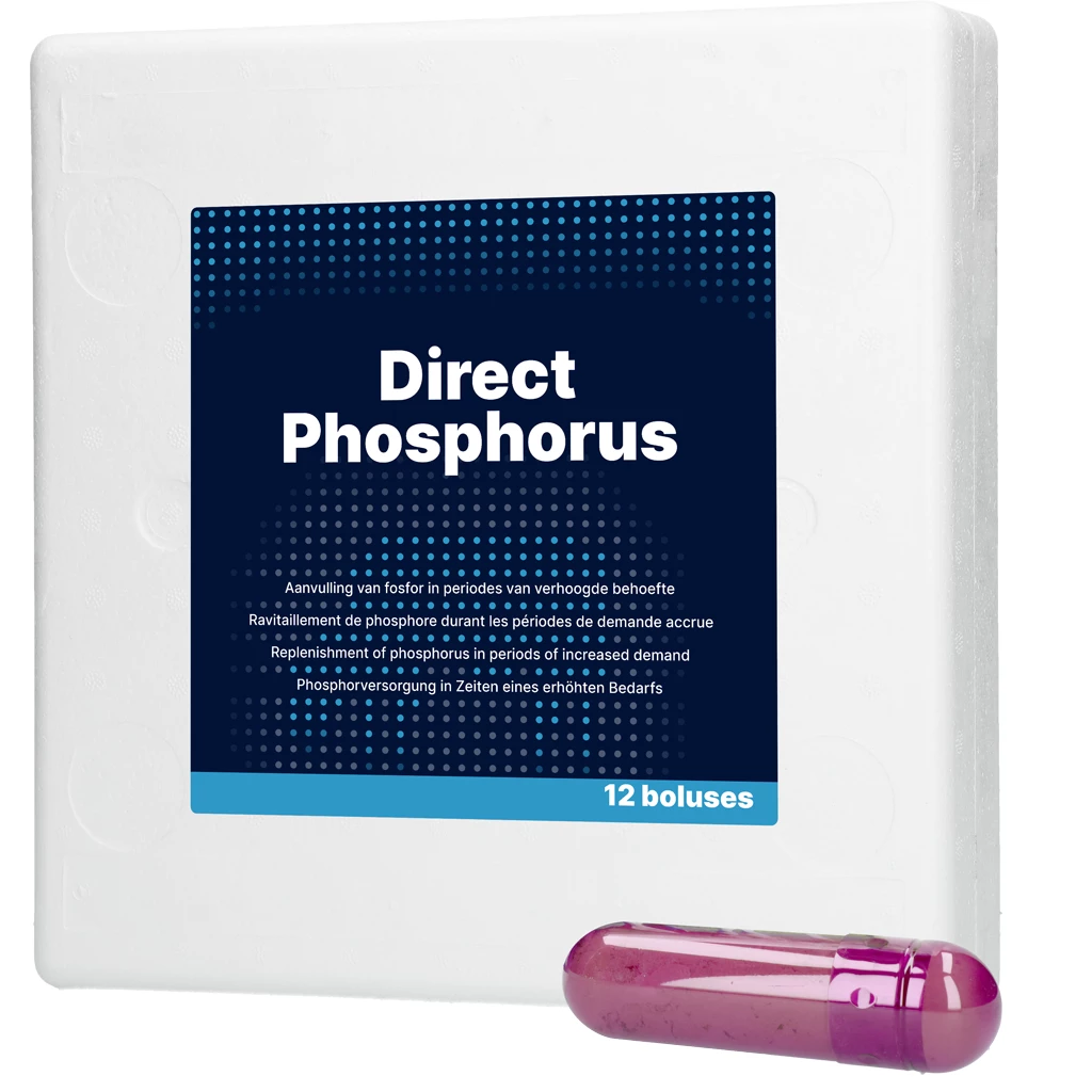Direct Phosphorus
