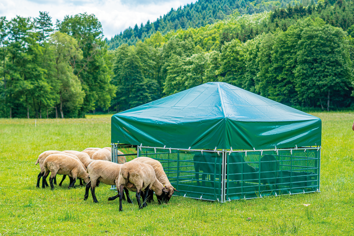 Windschutznetze für Steckfix-Horden  für Steckfix-Dach 2,75 m x 2,75 m  inkl. Befestigungsschnallen, (3 Netze)